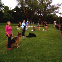 Dog Obedience Training Miami